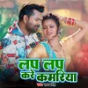 About Lap Lap Kare Kamriya Song